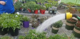 Tips for End-of-the-Season Perennial Care – Retailer