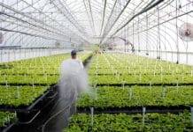 Good Things Come to Those Who Don’t Wait