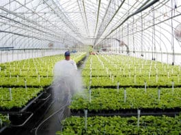 Good Things Come to Those Who Don’t Wait