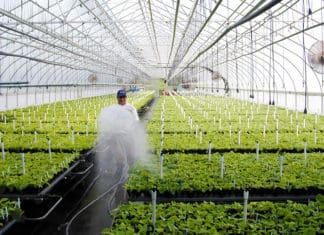 Good Things Come to Those Who Don’t Wait