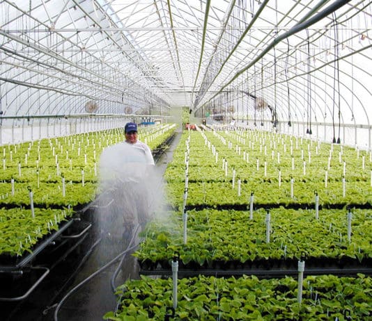 Good Things Come to Those Who Don’t Wait