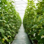 Our Industry’s Future Part 2: Rediscovering the Rewards