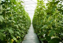 Our Industry’s Future Part 2: Rediscovering the Rewards