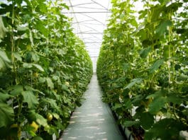 Our Industry’s Future Part 2: Rediscovering the Rewards