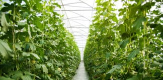 Our Industry’s Future Part 2: Rediscovering the Rewards