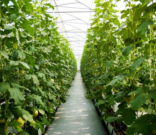 Our Industry’s Future Part 2: Rediscovering the Rewards