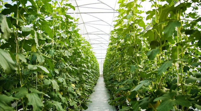 Our Industry’s Future Part 2: Rediscovering the Rewards