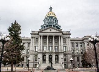 2024 Election Wrap-up