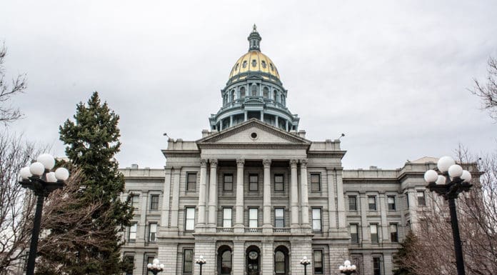 2024 Election Wrap-up