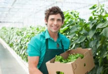 How to Hire a Key Employee