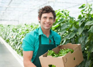 How to Hire a Key Employee