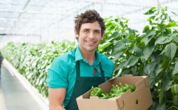 How to Hire a Key Employee