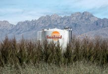 Growing Hardy Plants for the West