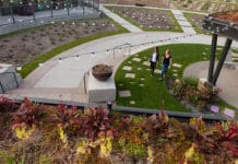 Trends in Landscape Architecture