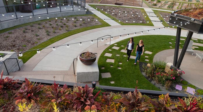 Trends in Landscape Architecture