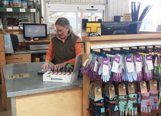 Creating Successful Customers through Upselling