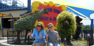 Creating Comfortable, Beneficial Landscapes