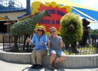 Creating Comfortable, Beneficial Landscapes