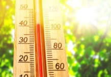 Protecting Your Employees from Overheating