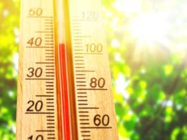 Protecting Your Employees from Overheating