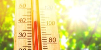 Protecting Your Employees from Overheating