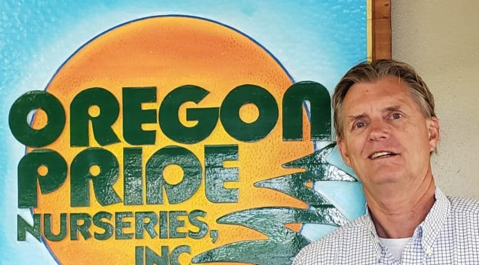 How to Avoid Employee Burnout