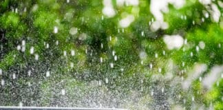 Insurance Budgeting for Hail & Other Coverages