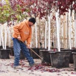 Sharing Employees: Getting through Busy Times with Borrowed Labor