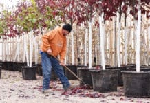 Sharing Employees: Getting through Busy Times with Borrowed Labor