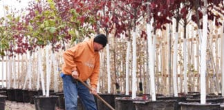 Sharing Employees: Getting through Busy Times with Borrowed Labor