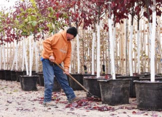 Sharing  Employees: Getting through Busy Times with Borrowed Labor