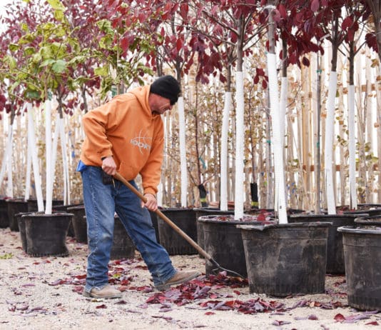 Sharing Employees: Getting through Busy Times with Borrowed Labor