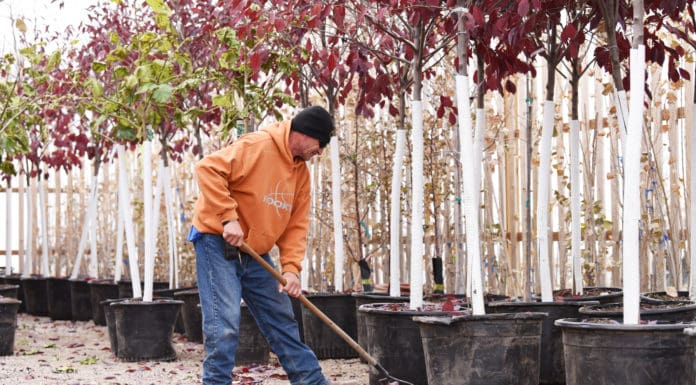 Sharing Employees: Getting through Busy Times with Borrowed Labor