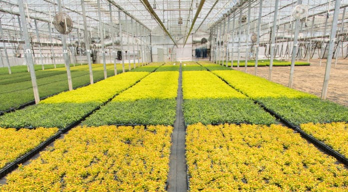 Production Planning for Bust & Boom Cycles