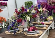 Ideas from the California Trials for 2020 Plant Ordering