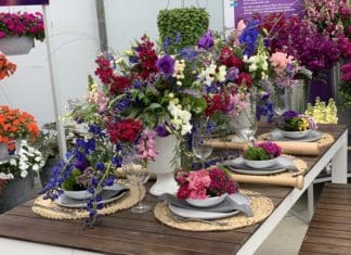 Ideas from the California Trials for 2020 Plant Ordering