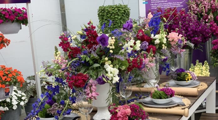 Ideas from the California Trials for 2020 Plant Ordering