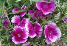 Top Picks for Off-Season Color