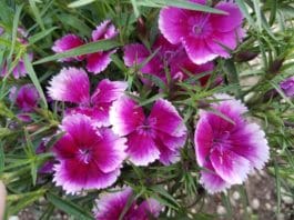 Top Picks for Off-Season Color