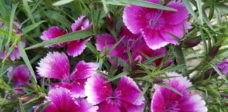 Top Picks for Off-Season Color