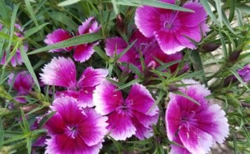 Top Picks for Off-Season Color