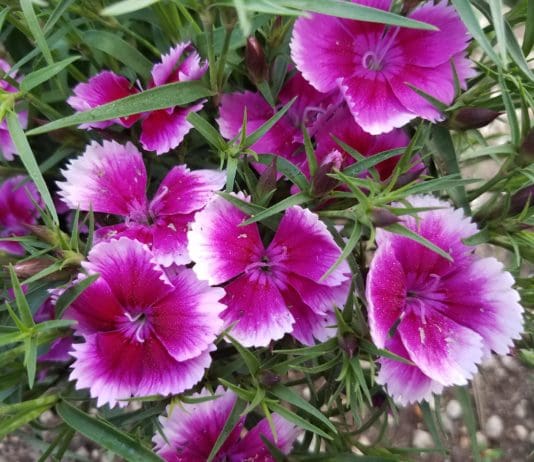 Top Picks for Off-Season Color