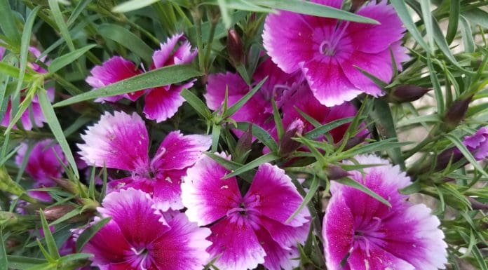 Top Picks for Off-Season Color