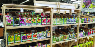 The Challenge of Ordering Next Year’s Inventory