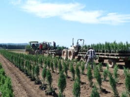 The New Normal: Year-Round Work Rather than Seasonal