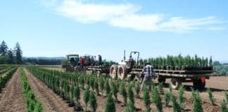 The New Normal: Year-Round Work Rather than Seasonal