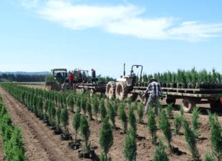 The New Normal: Year-Round Work Rather than Seasonal