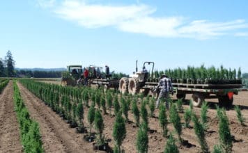 The New Normal: Year-Round Work Rather than Seasonal