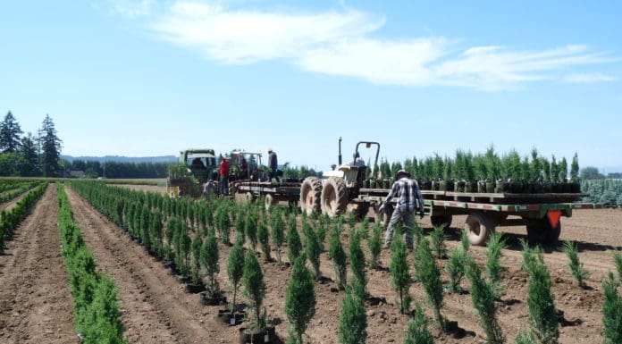 The New Normal: Year-Round Work Rather than Seasonal