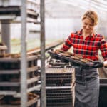 Establishing a Safety Culture